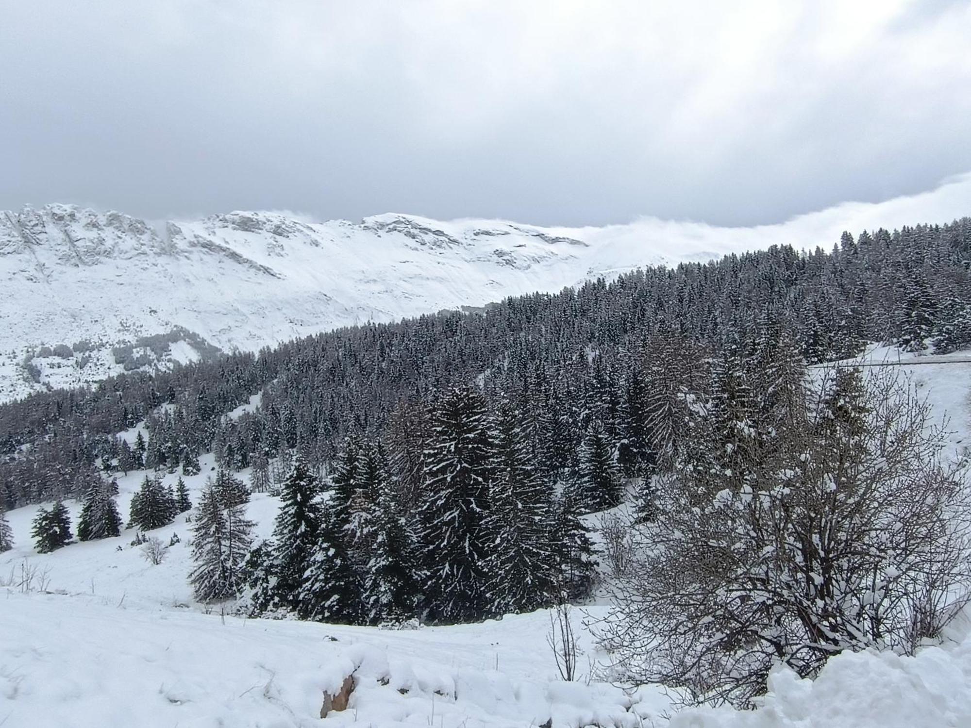 Appartement Cosy Dans Chalet Vue Montagne Saint-Étienne-en-Dévoluy Dış mekan fotoğraf